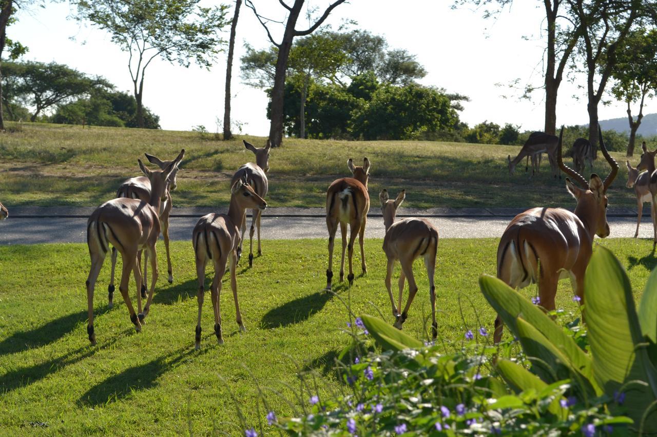 Kruger Park Lodge - Golf Safari Sa Hazyview Exterior photo