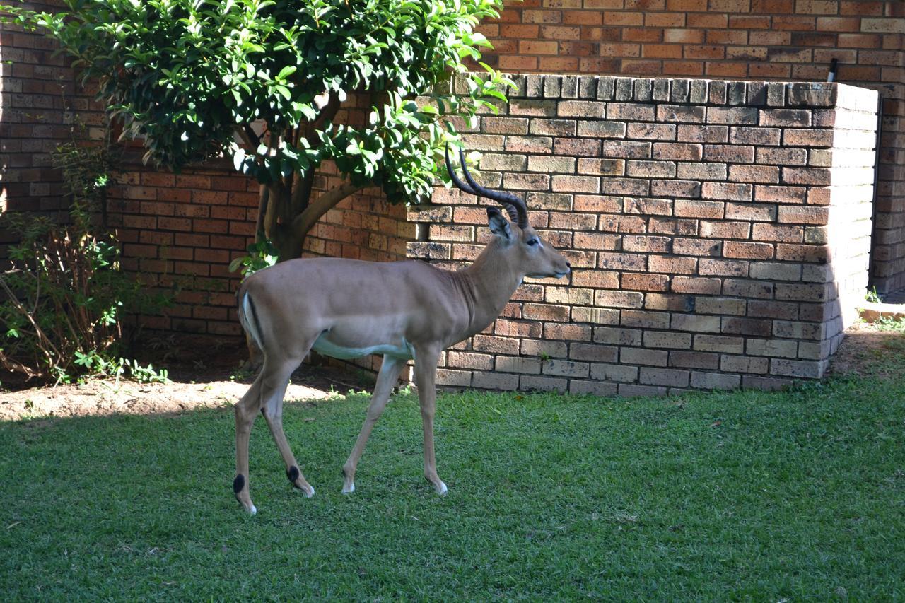 Kruger Park Lodge - Golf Safari Sa Hazyview Exterior photo